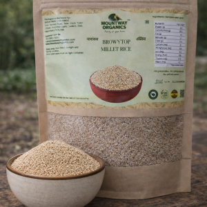 Browntop Millet (Hari Kangni)
